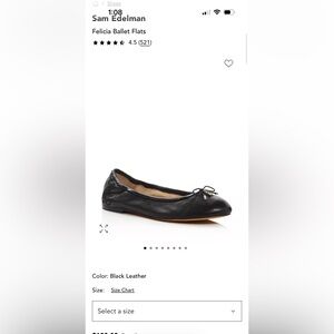 Felicia Ballet Flats